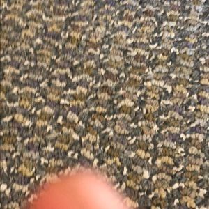 Meet your Posher, Preston